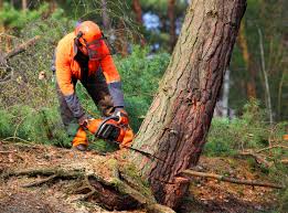 Lawn Watering Services in Marion, MT